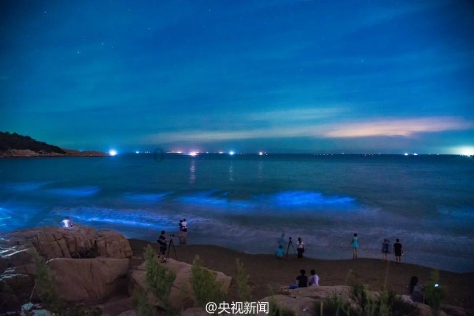 住宅市场遇冷!瓦房店2024年开年土拍主打工业地